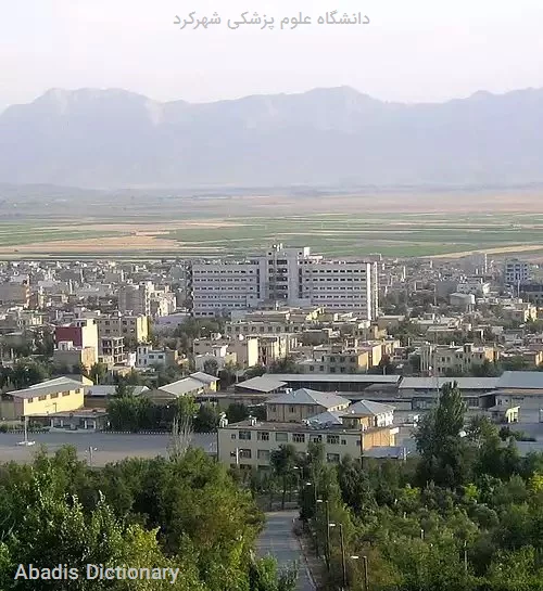 دانشگاه علوم پزشکی شهرکرد